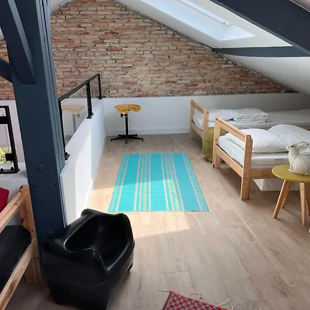 Maison Lumineuse Avec Jardin - Proche D'eyrac Et Commerces - Fr-1-420-133 Arcachon