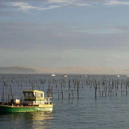Maison Lumineuse Avec Jardin - Proche D'eyrac Et Commerces - Fr-1-420-133 Arcachon