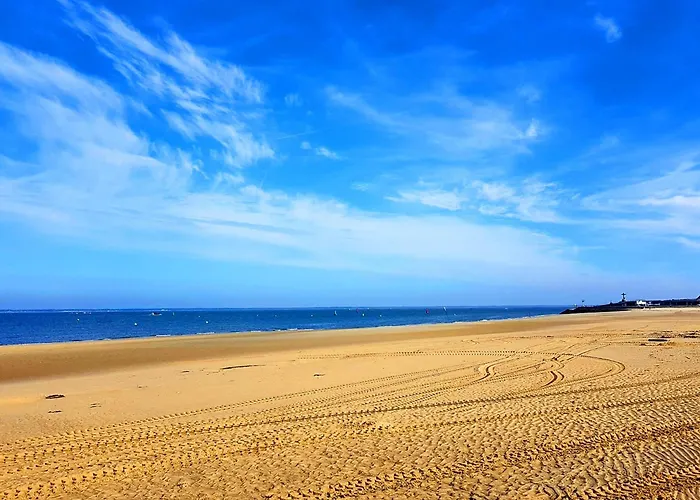 Maison Lumineuse Avec Jardin - Proche D'eyrac Et Commerces - Fr-1-420-133 * Arcachon
