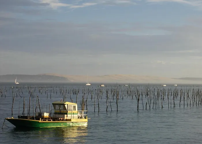 Maison Lumineuse Avec Jardin - Proche D'eyrac Et Commerces - Fr-1-420-133 Arcachon
