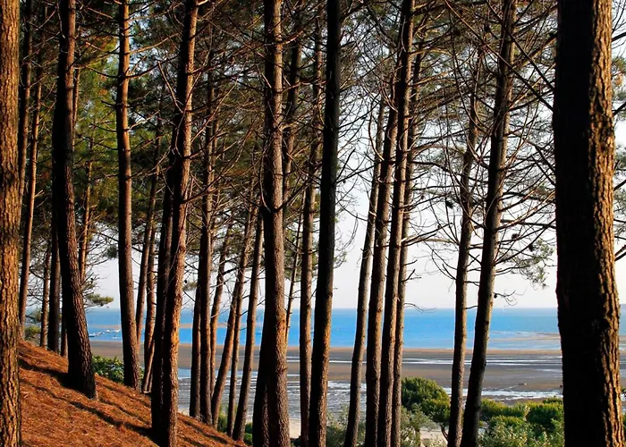 Holiday home Maison Lumineuse Avec Jardin - Proche D'eyrac Et Commerces - Fr-1-420-133 *